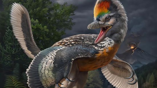 dinosaurio origen aves