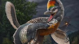 dinosaurio origen aves