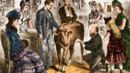 De la vaca a la vacuna
