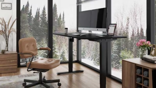 Escritorio elevable E1 FlexiSpot