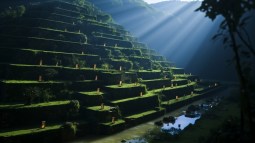 ¿Cuál es la pirámide más antigua del mundo?1