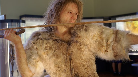 Recreacion de neandertal