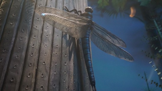 Recreación de Meganeura