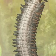 Los insectos más grandes de la historia del planeta (Fran Navarro)