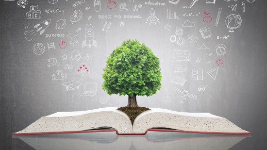 Árbol del conocimiento