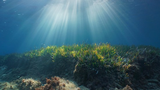 Límites planetarios