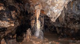 ¿Dónde se encuentran las pinturas rupestres más antiguas de España?