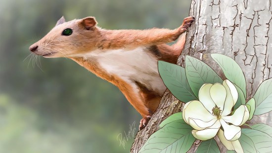 Purgatorius mamifero sobrevive dinosaurios