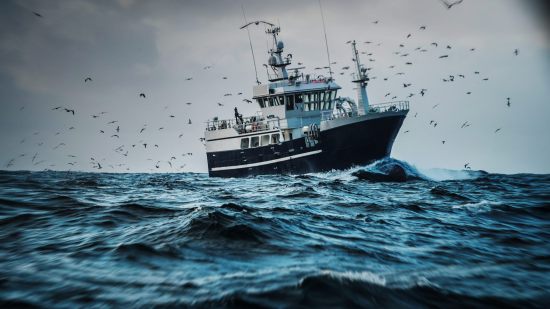 Cómo la campaña «Pezqueñines ¡No, gracias!» cambió la evolución de los peces y los ecosistemas marinos