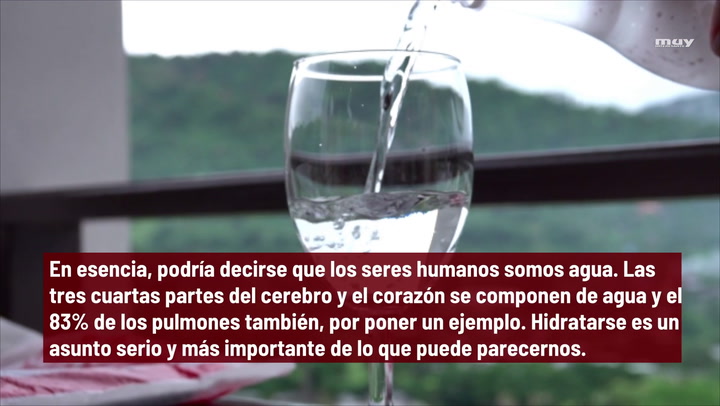 Consecuencias De No Beber Agua