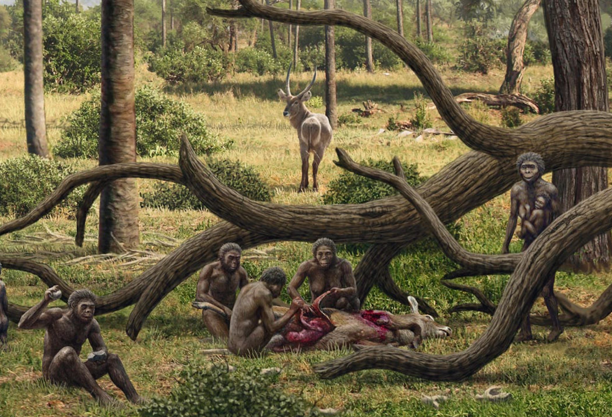 Historia del linaje humano