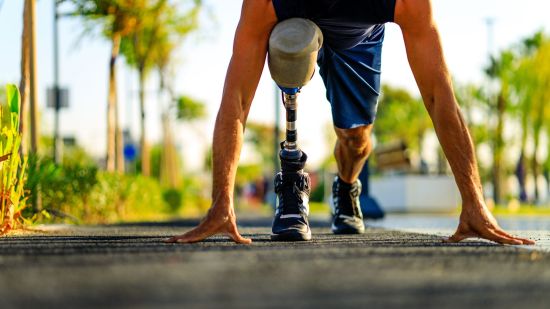 ¿Cómo la paleobiónica nos puede hacer la vida mucho más simple?