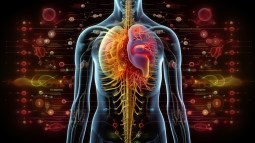 Científicos de Stanford afirman poder predecir qué órgano te fallará primero