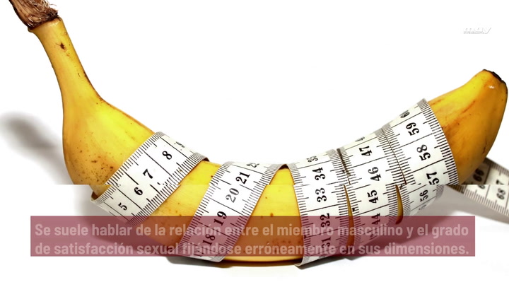 Cuántos Tipos De Penes Hay