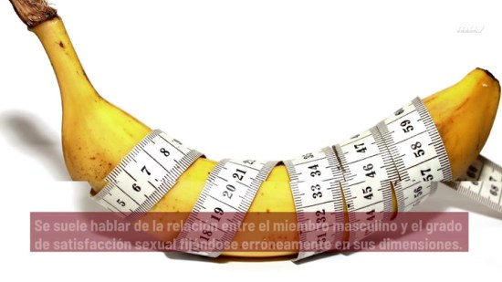 Cuántos Tipos De Penes Hay