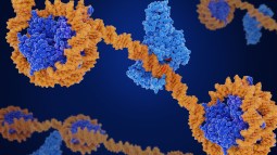 La epigenética: ¿una nueva forma de lamarckismo o una revolución en la biología?