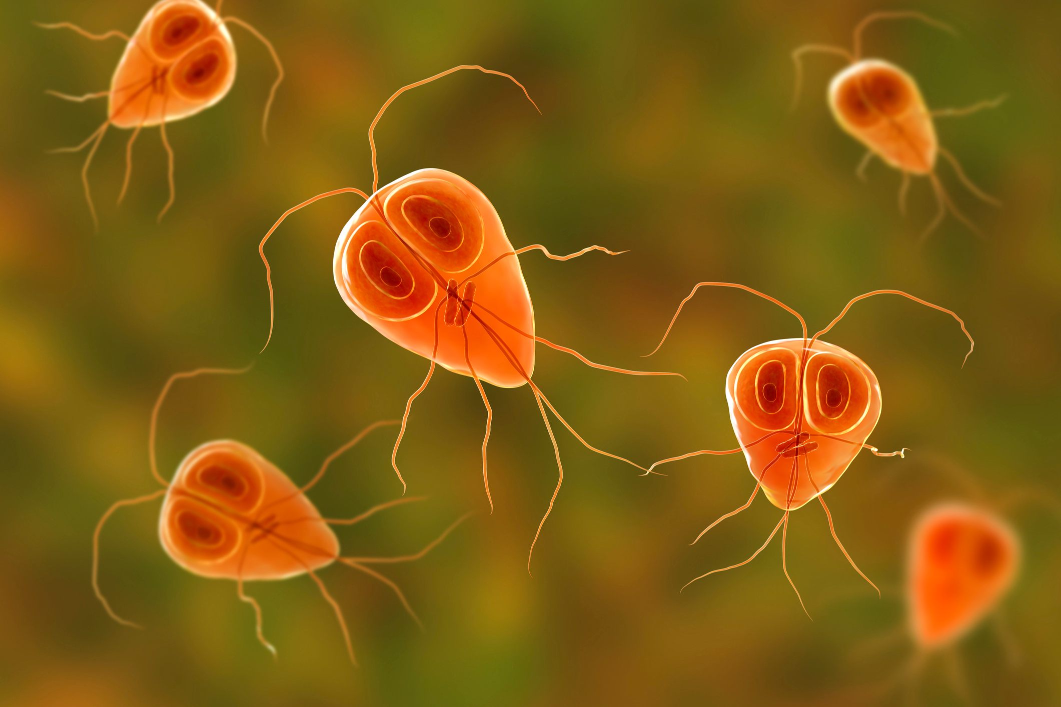 Un buen parásito es aquel que no mata a su hospedador