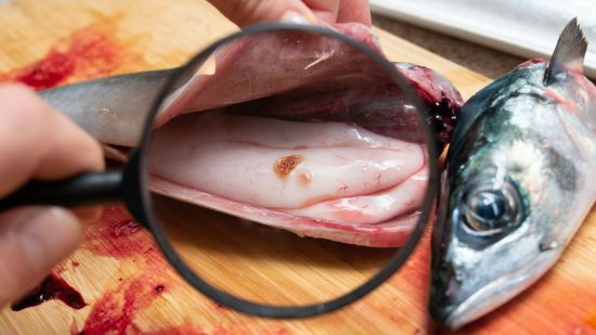 Como evitar que el anisakis te amargue la Navidad, según la ciencia