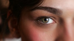 Tu ojo no ve una imagen, sino 126 millones