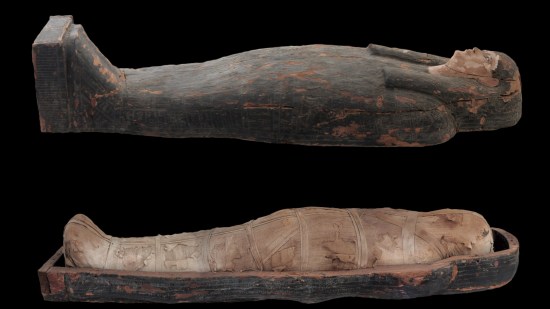 Momia egipcia