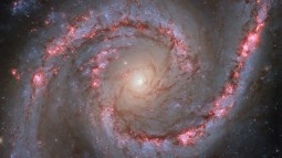 Conoce  la galaxia del bailarín español, NGC 1566
