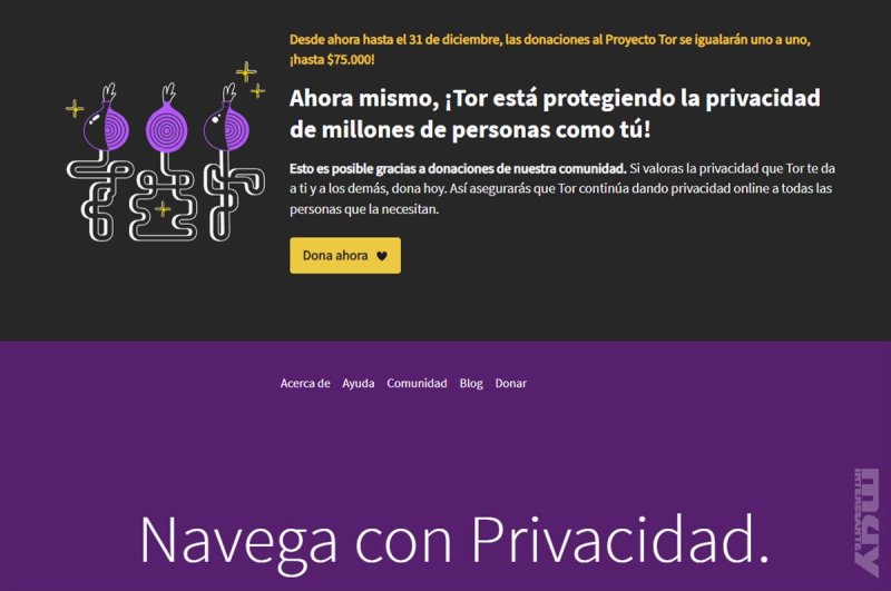 Acceso a la Deep Web