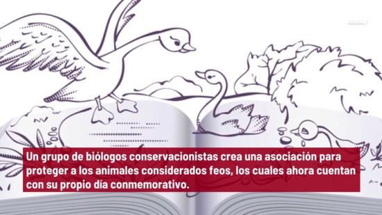 Crean Una Asociación En Defensa De Los Animales Más Feos Del Planeta
