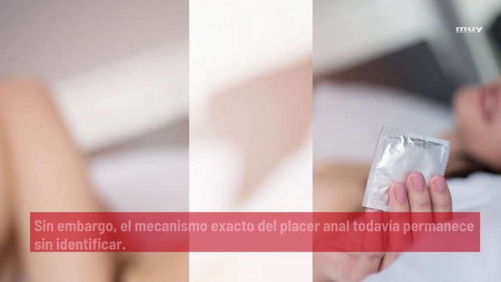 La Estimulación Anal Puede Ser Más Placentera Que La Del Pene