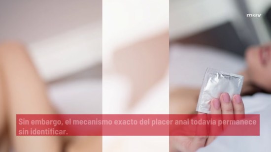 La Estimulación Anal Puede Ser Más Placentera Que La Del Pene