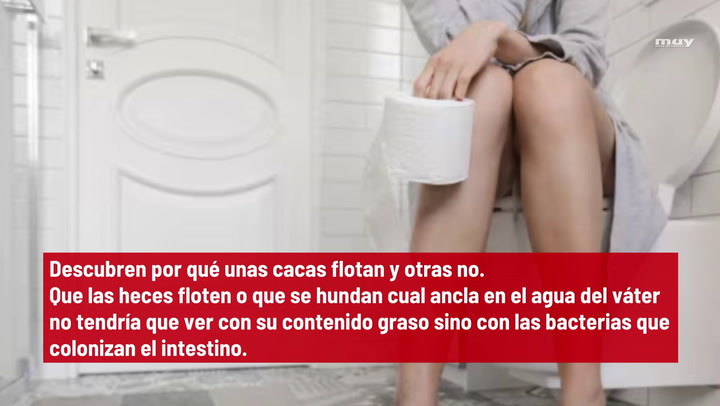 Descubren Por Qué  Unas Cacas Flotan Y Otras No