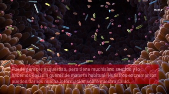 Cómo Detectar Enfermedades Con Tus Gases Intestinales