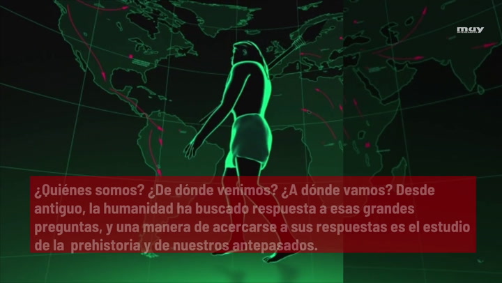 Evolución Humana  Guía Para Entender A Los Homínidos