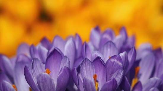 GettyImages-474615175