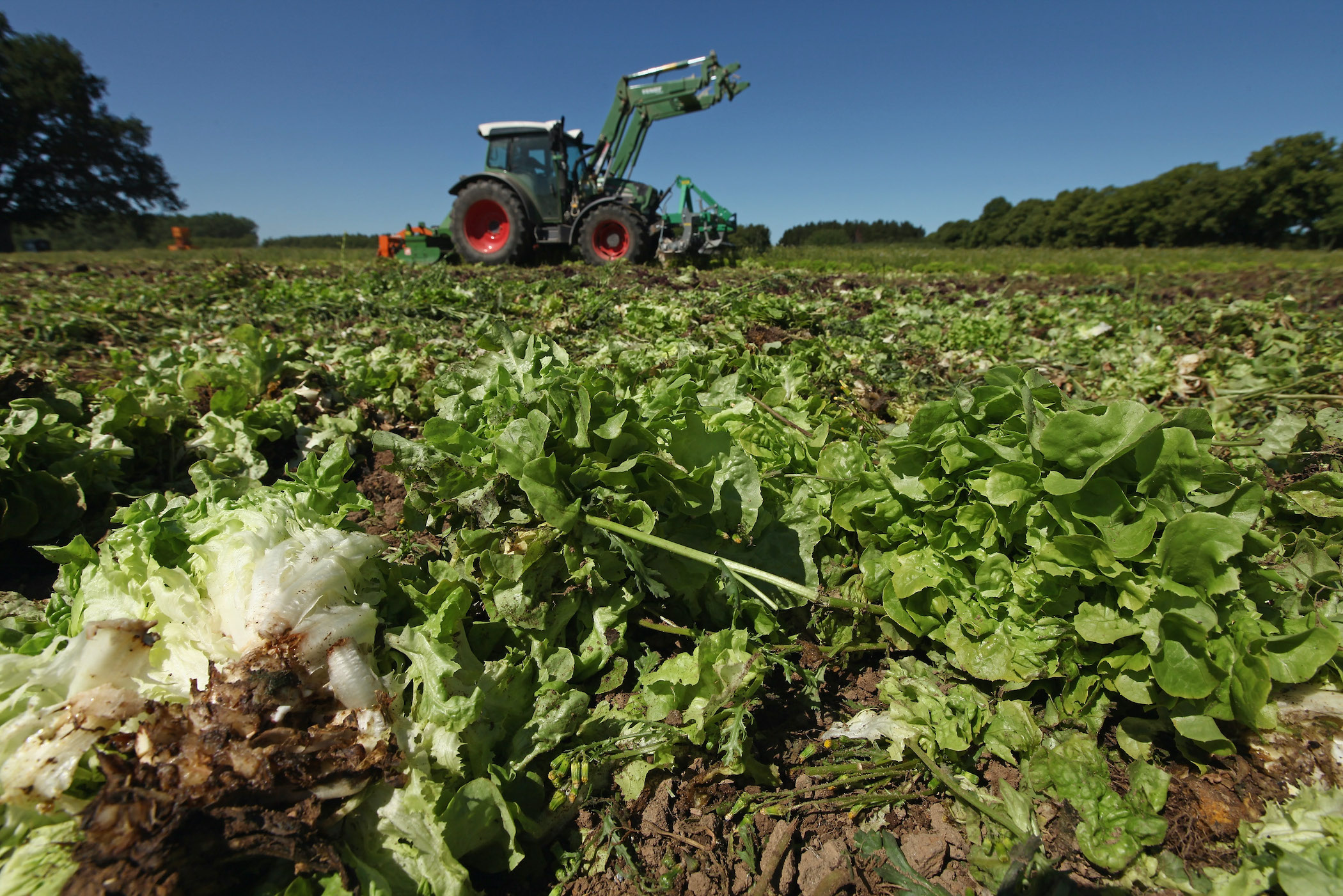 GettyImages-115236881