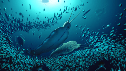 Hallan aterradores gusanos gigantes en Groenlandia de hace 500 millones de años