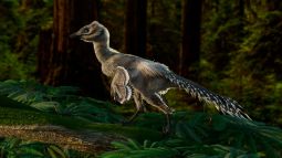 Recreación de Tamarro insperatus