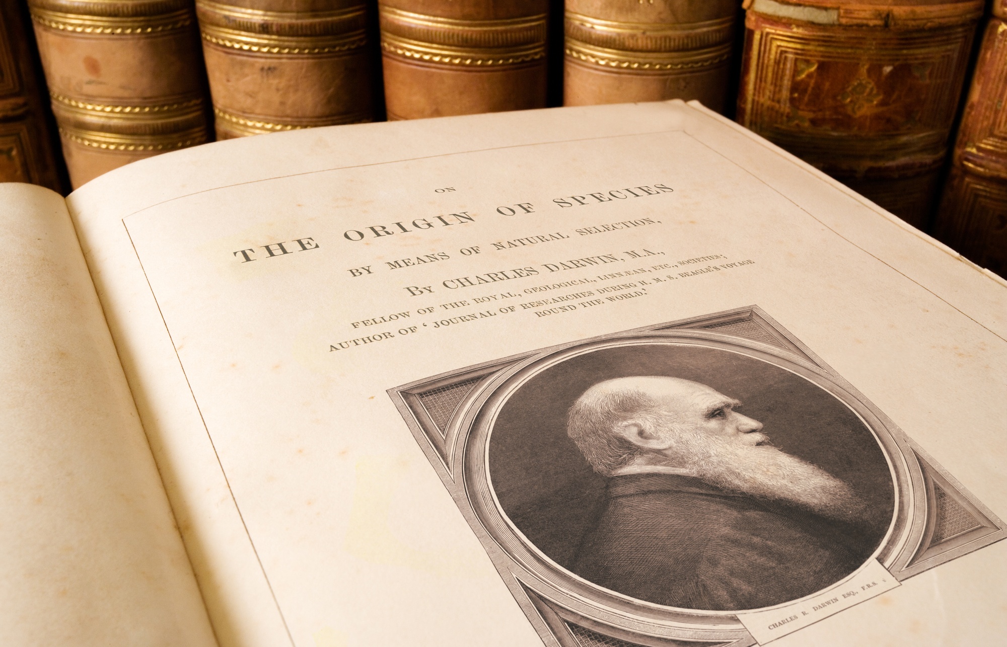 La evidencia de la evolución: del viaje del HMS Beagle a los debates contemporáneos