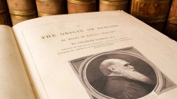 La evidencia de la evolución: del viaje del HMS Beagle a los debates contemporáneos