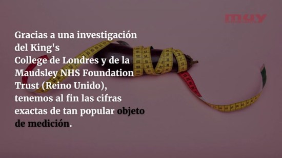 ¿Cuál es el tamaño medio del pene?