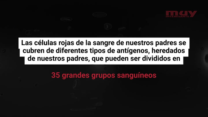 Curiosidades científicas sobre la sangre
