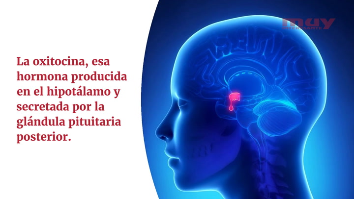 El lado oscuro de la oxitocina, la hormona del amor