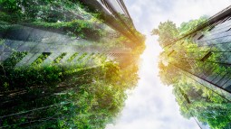 Pueden convertirse las ciudades en santuarios de biodiversidad