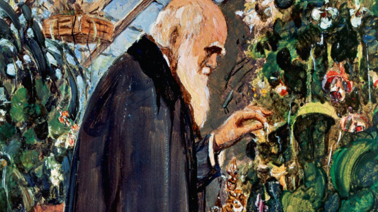 darwin-botánico