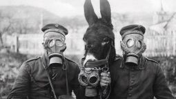 Soldados alemanes y su mula