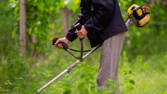 Mejores desbrozadoras