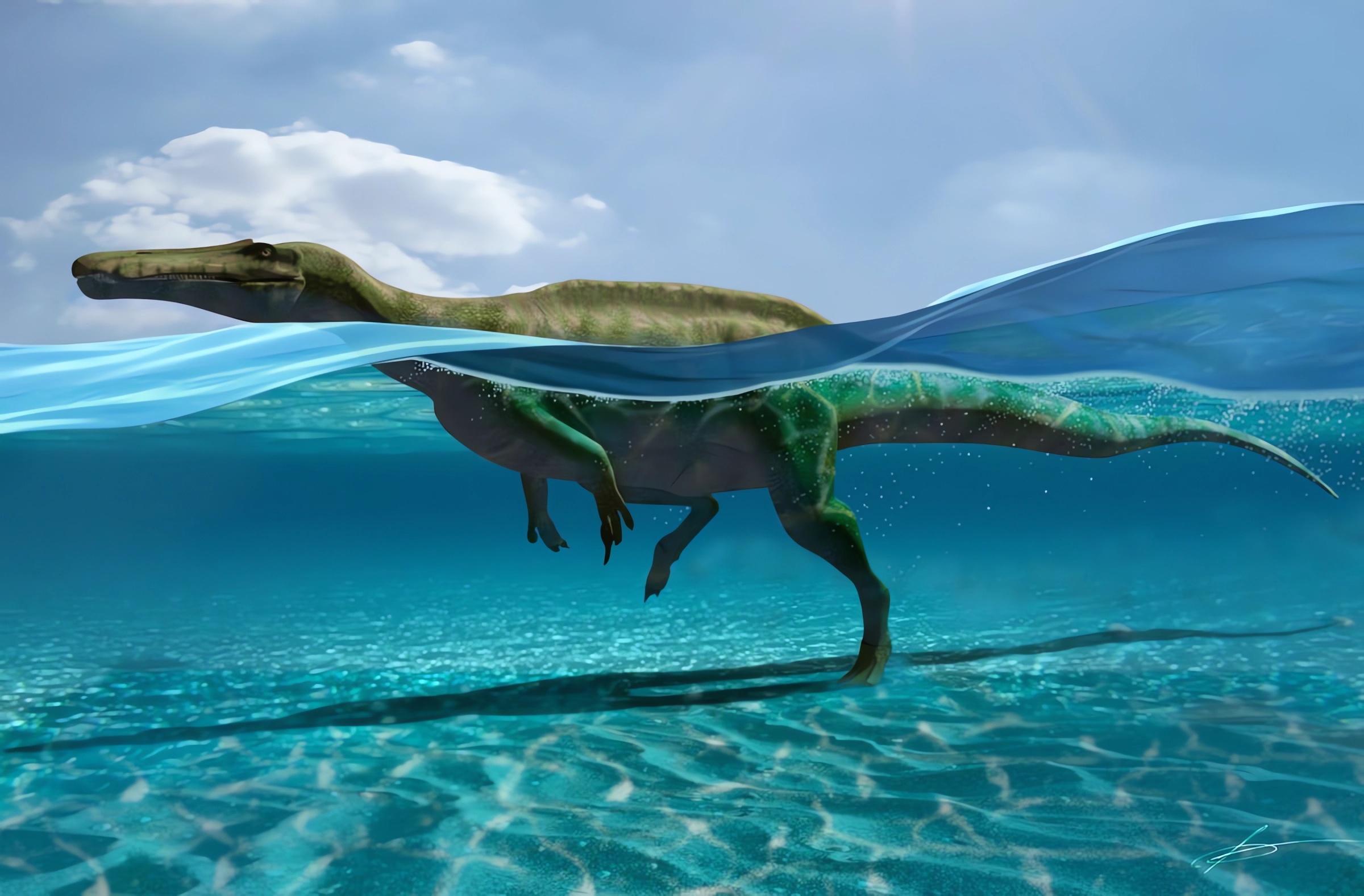 Reconstrucción de espinosáurido nadando y cómo pudo dejar sus huellas