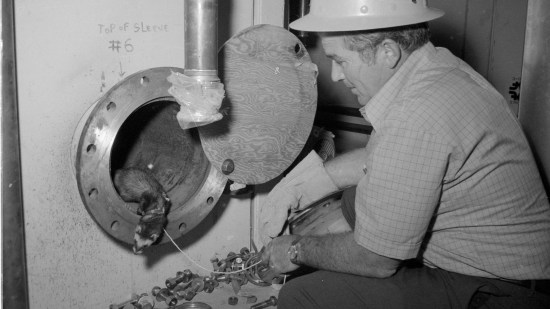 El ingeniero Walter Pelczarski