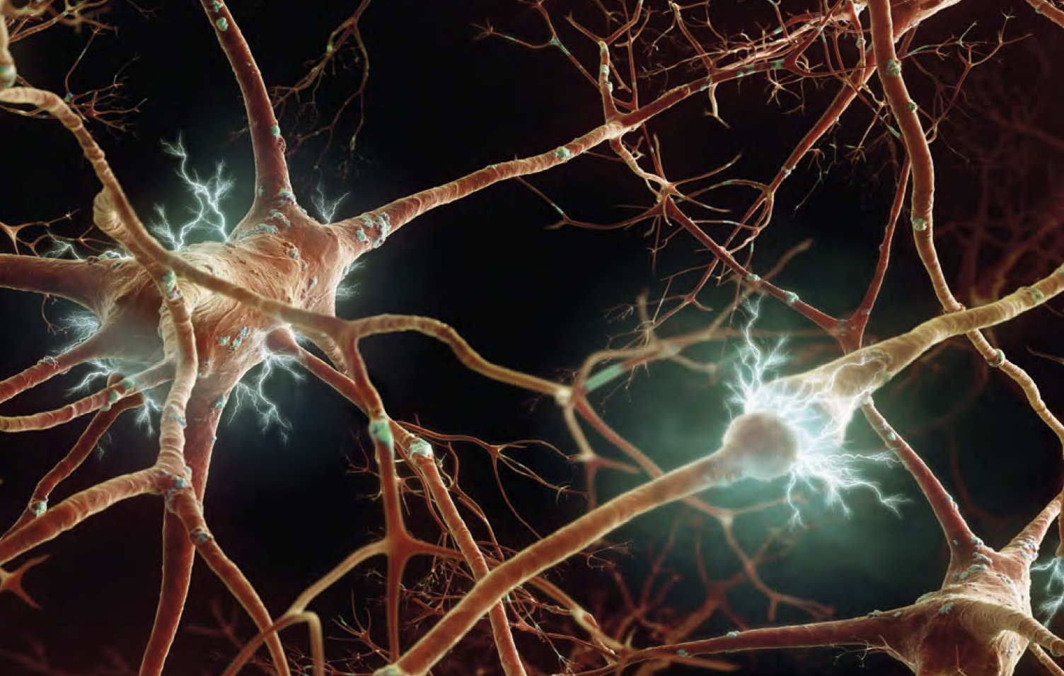 red-neuronal