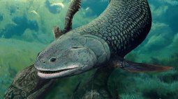 Descubren un pez prehistórico con colmillos de hace 380 millones de años