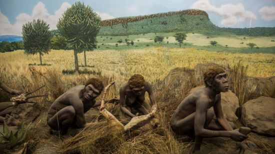 Recreación de ‘Homo habilis’